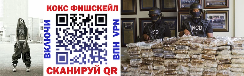 COCAIN Fish Scale  где можно купить наркотик  Красноармейск 