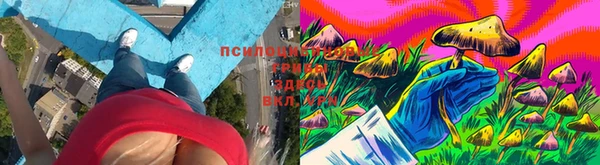 бутират Баксан