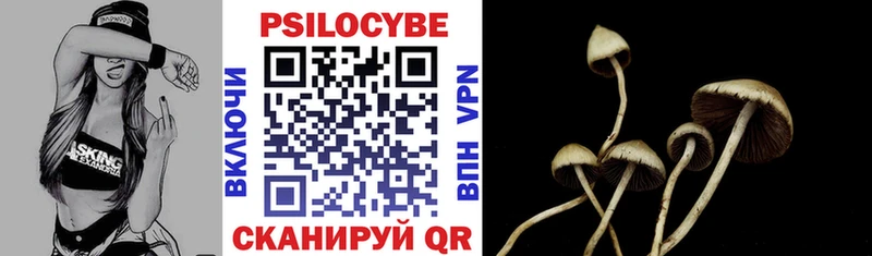 Псилоцибиновые грибы Cubensis  Красноармейск 